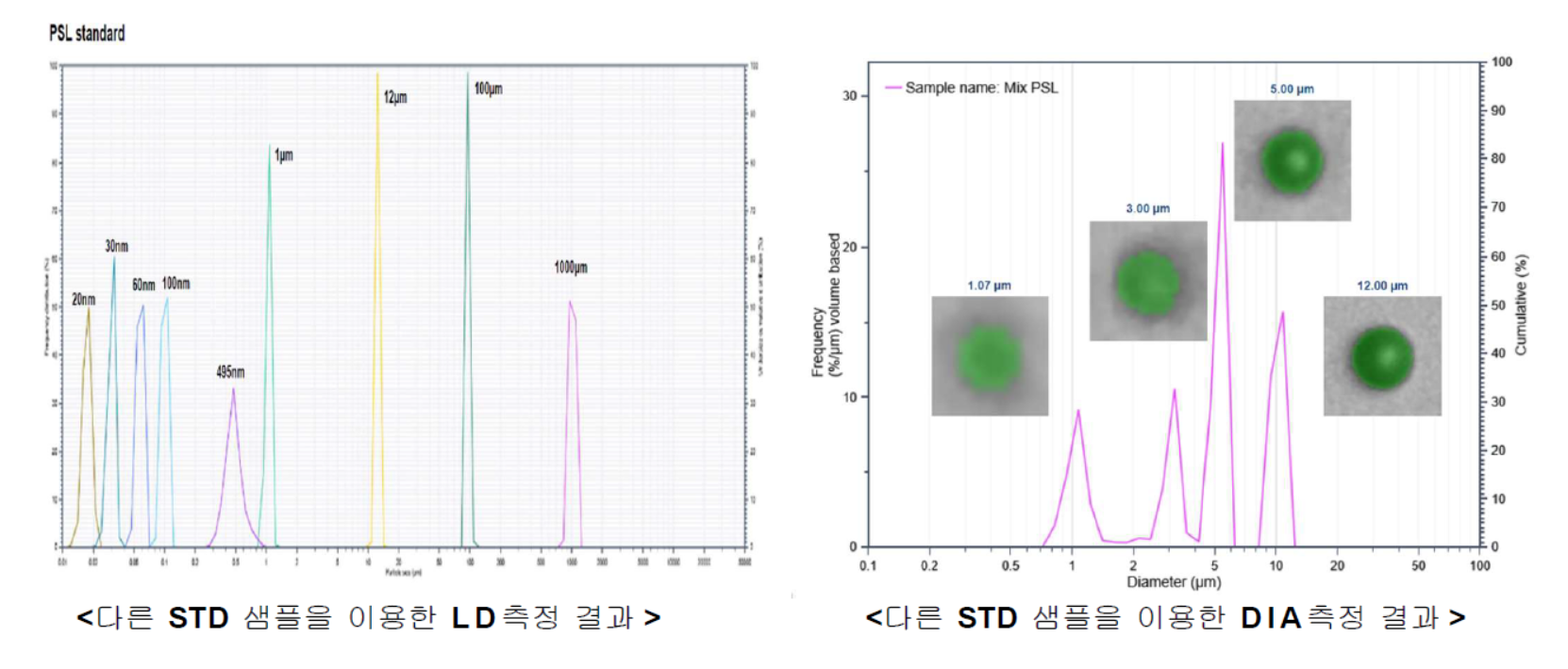 STD%20image.png